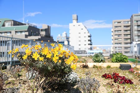 中野共立病院イメージ