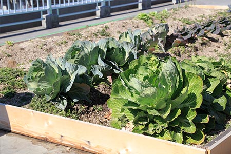 中野共立病院イメージ